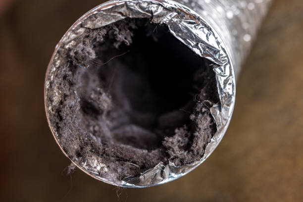 Best Home Air Vent Cleaning  in Nemacolin, PA
